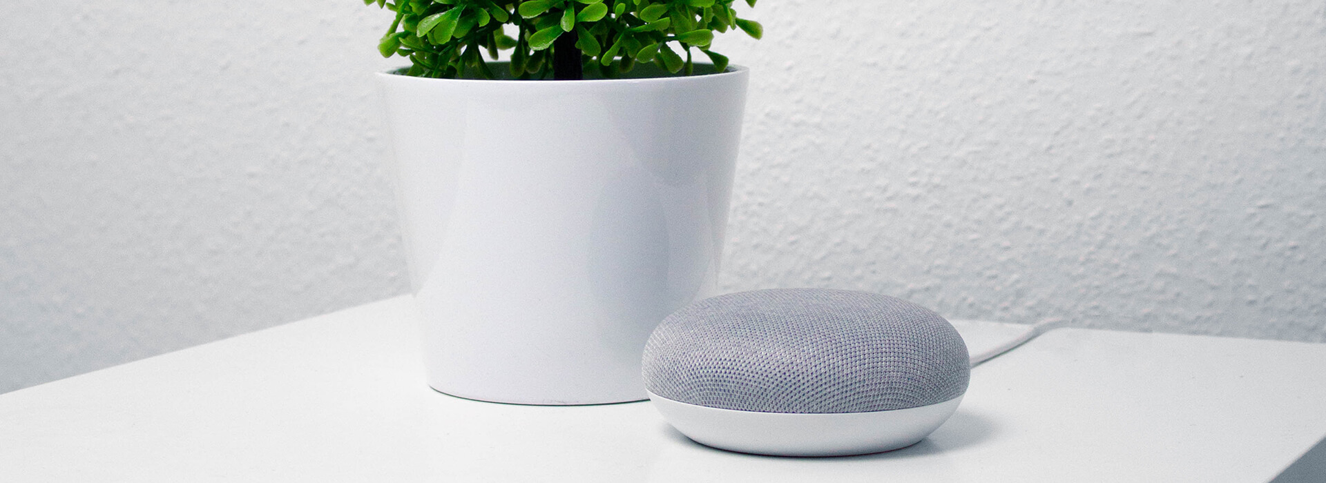 Sprachassistenten wie Google oder Alexa