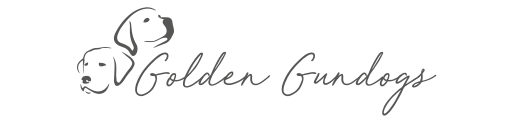 Werbeagentur in Köln Die netten Werber Golden Gundogs