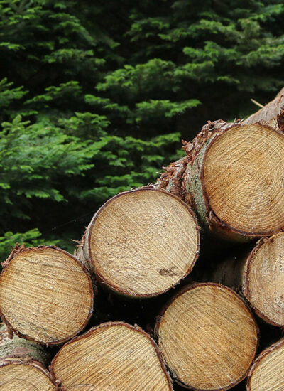 Werbeagentur in Köln Die netten Werber DFUV