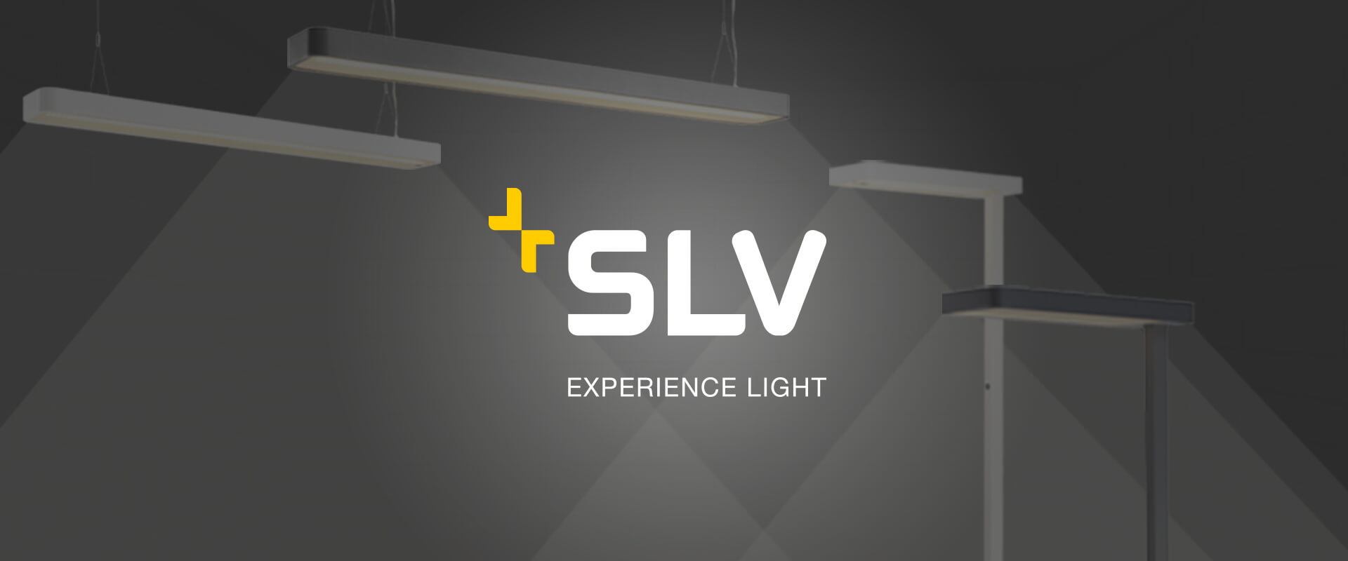 Logo SLV als Header